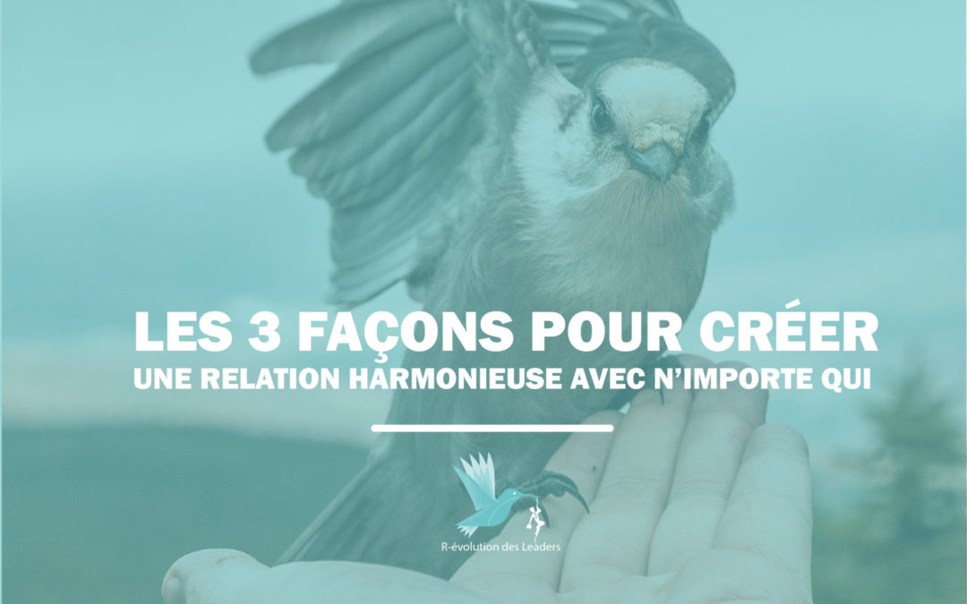 Les 3 façons pour créer une relation harmonieuse avec n’importe qui